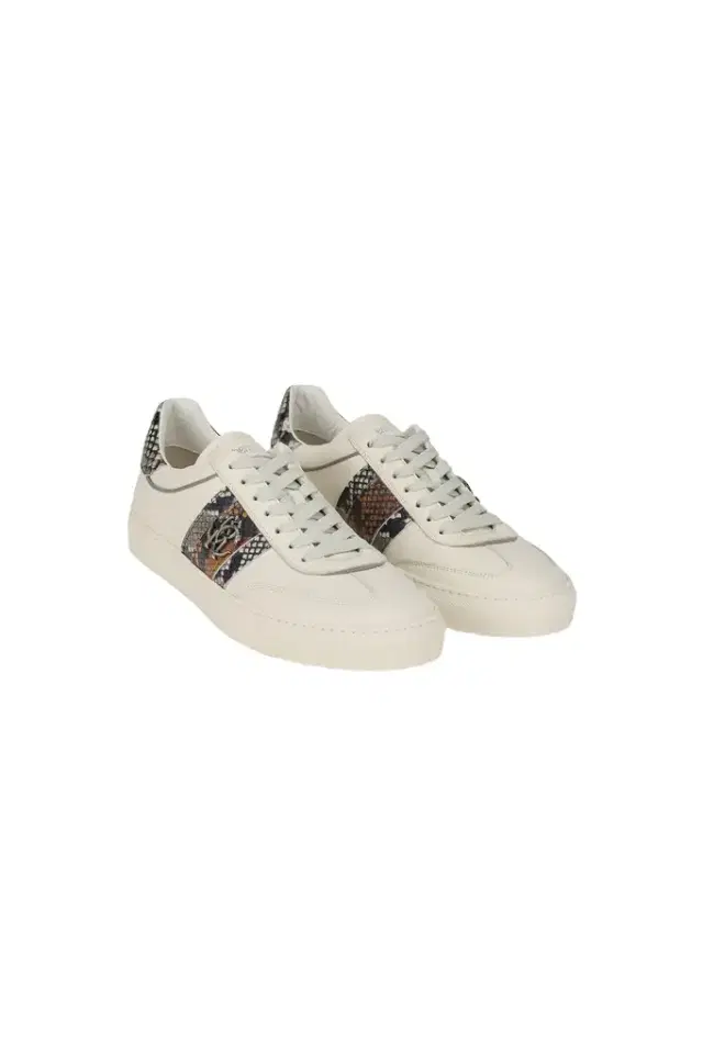 Roberto Cavalli - Male Low-top White/brown 42
