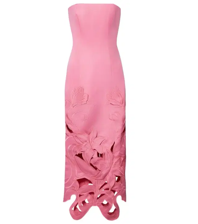 Rayna floral-appliqué bustier gown