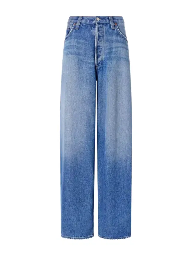 AGOLDE The Rounded Baggy Mid-rise Wide-leg Pants