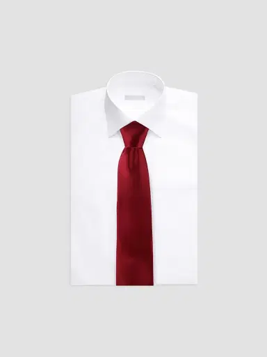 Stefano Ricci Men's Luxury Handmade Silk Tie - Dark Red | Thumbnail 2