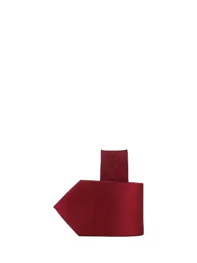 Stefano Ricci Men's Luxury Handmade Silk Tie - Dark Red | Thumbnail 1