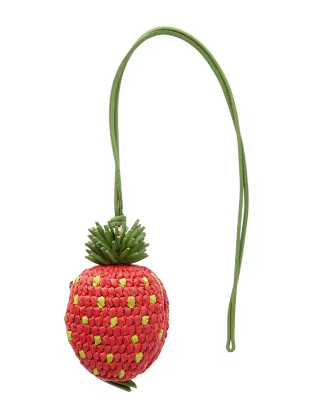 Loewe Paula's Ibiza Strawberry Leather-Trimmed Raffia Pouch - Men