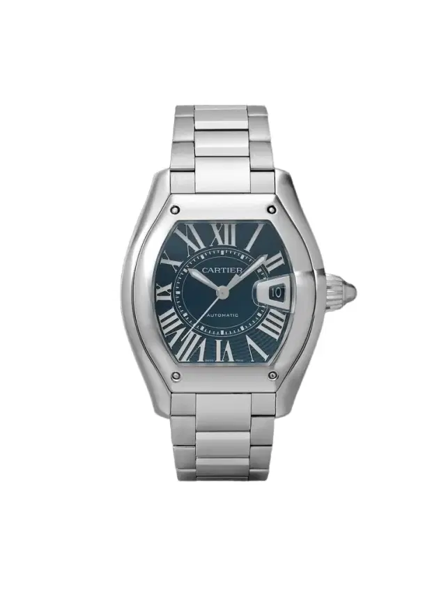 Roadster de  Automatic 47.2 Interchangeable Stainless Steel and Rubber Watch, Ref. No. WSRD0014 - Men