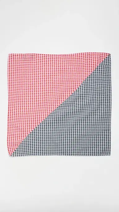 LE BOP Gingham Check Bandana Red/Navy Check One Size | Thumbnail 5