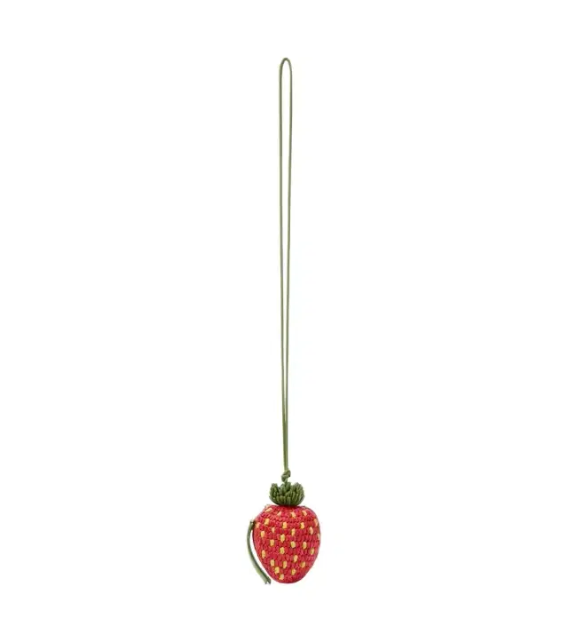 Loewe Strawberry raffia coin purse with strap