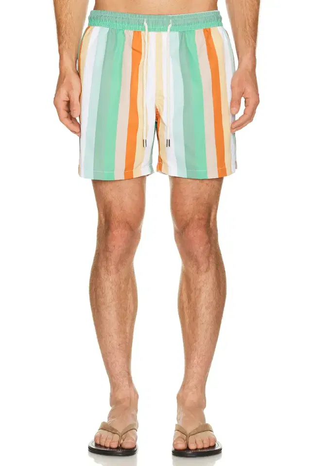 Classic Swim Shorts