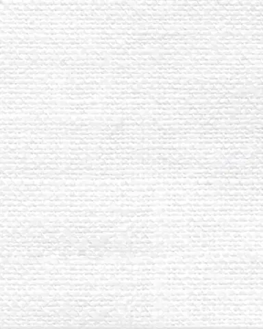 Matouk Chamant Napkins, Set of 4 | Thumbnail 4