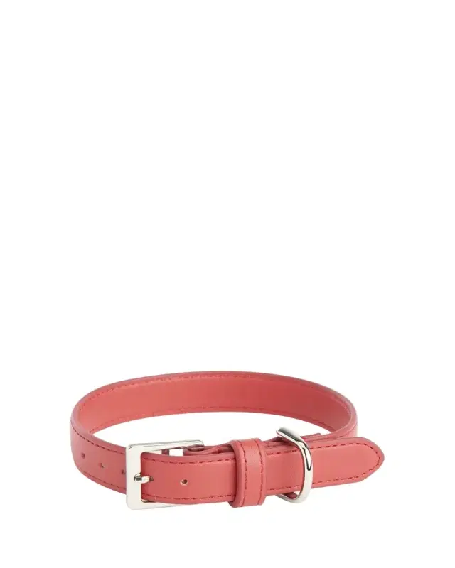 Personalized Leather Small Dog Collar, Personalized