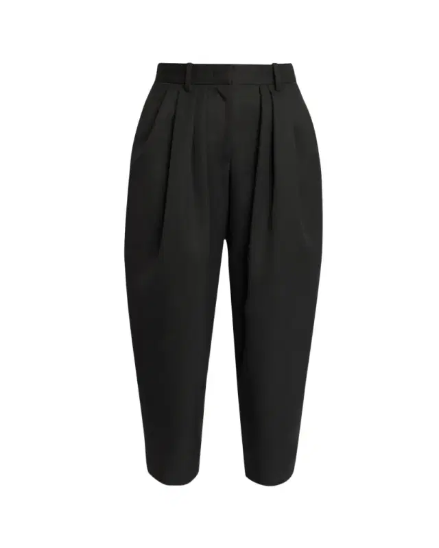 Isabel Marant Janice Pleated Wool Pants