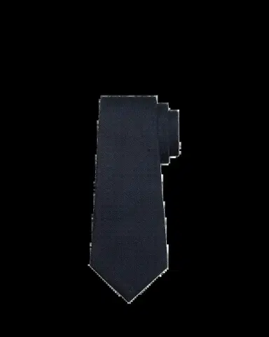 ZEGNA Men's Textured Silk Jacquard Tie | Thumbnail 2