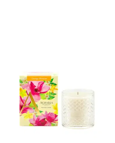 Agraria Orange Blossom Candle, 7 oz. | Thumbnail 1