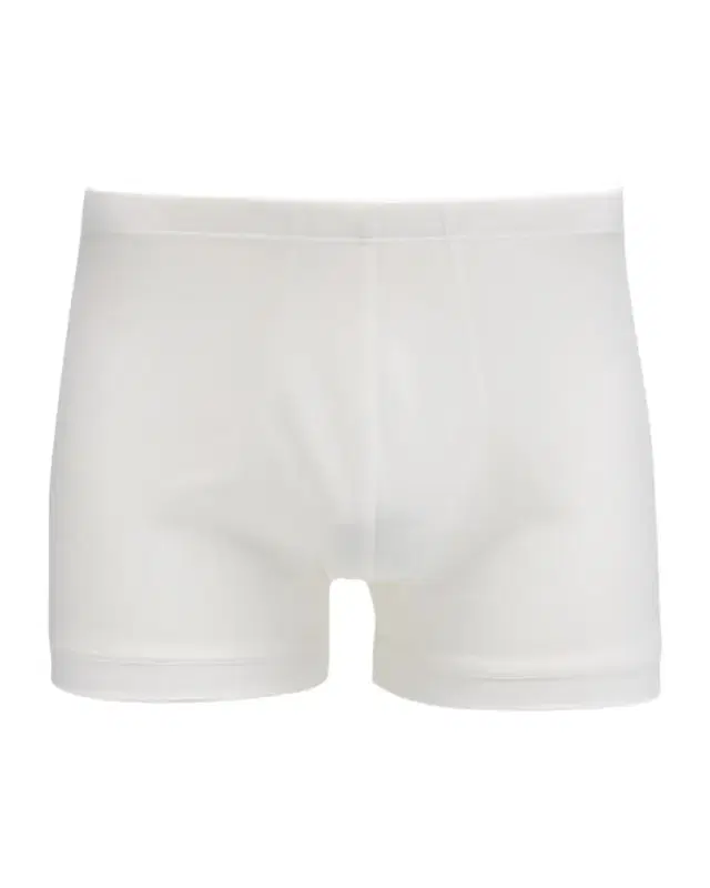 Men 's 252 Royal Cotton Boxer Briefs