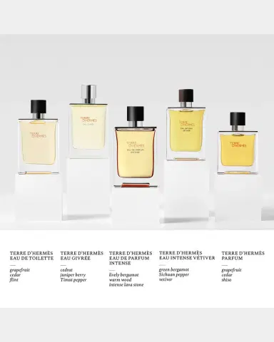 Hermes Terre d ' Eau de Parfum Intense, 1.7 oz. | Thumbnail 5 Hermes Terre d ' Eau de Parfum Intense, 1.7 oz. | Thumbnail 5