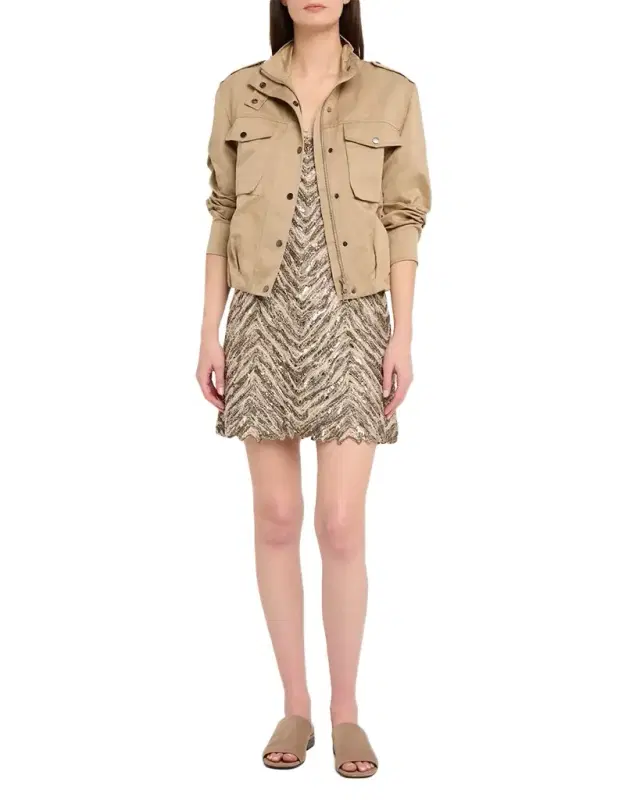 Chevron Embroidered Sequin Mini Dress