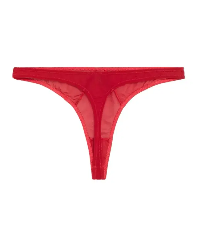 Brienne Embroidered Mesh Thong