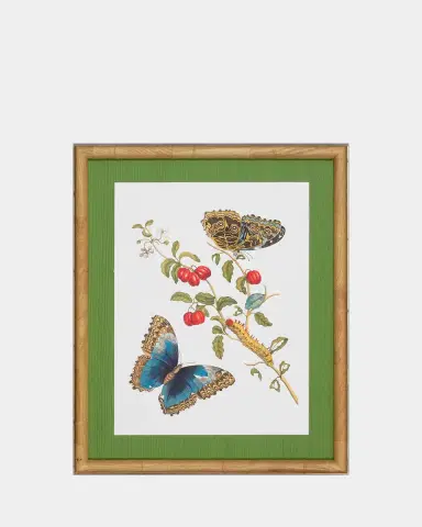 Shadow Catchers "Classic Botanical IX" Framed Giclee | Thumbnail 2 Shadow Catchers "Classic Botanical IX" Framed Giclee | Thumbnail 2