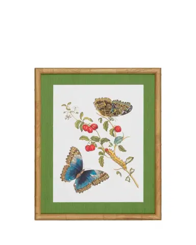 Shadow Catchers "Classic Botanical IX" Framed Giclee | Thumbnail 1 Shadow Catchers "Classic Botanical IX" Framed Giclee | Thumbnail 1