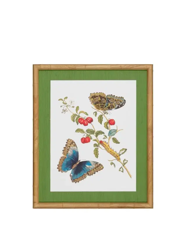 Shadow Catchers "Classic Botanical IX" Framed Giclee