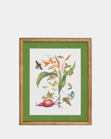 Shadow Catchers "Classic Botanical V" Framed Giclee | Thumbnail 2 Shadow Catchers "Classic Botanical V" Framed Giclee | Thumbnail 2