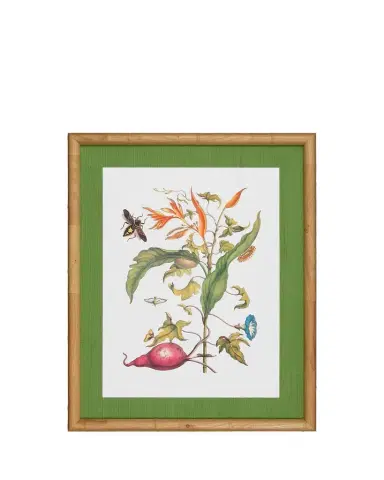 Shadow Catchers "Classic Botanical V" Framed Giclee | Thumbnail 1 Shadow Catchers "Classic Botanical V" Framed Giclee | Thumbnail 1