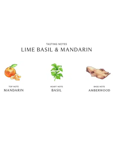 Jo Malone London Lime Basil & Mandarin Cologne | Thumbnail 2