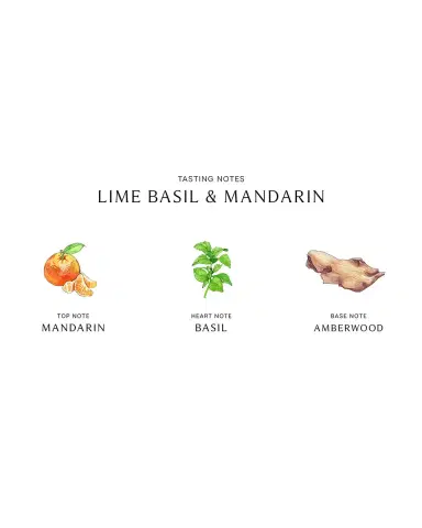 Jo Malone London Lime Basil & Mandarin Home Candle, 7 oz. | Thumbnail 3