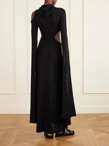 Gabriela Hearst Daya Hooded Cutout Silk Maxi Dress | Thumbnail 3 Gabriela Hearst Daya Hooded Cutout Silk Maxi Dress | Thumbnail 3