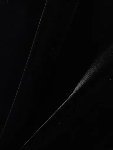 Alexander McQueen Velvet Straight-leg Pants | Thumbnail 5 Alexander McQueen Velvet Straight-leg Pants | Thumbnail 5