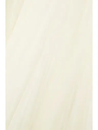 Danielle Frankel Guinevere Shirred Grosgrain-trimmed Tulle Gown | Thumbnail 4 Danielle Frankel Guinevere Shirred Grosgrain-trimmed Tulle Gown | Thumbnail 4