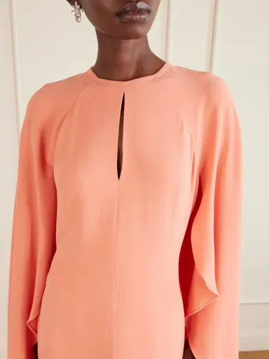 Elie Saab Appliquéd Cape-effect Cady Gown | Thumbnail 5