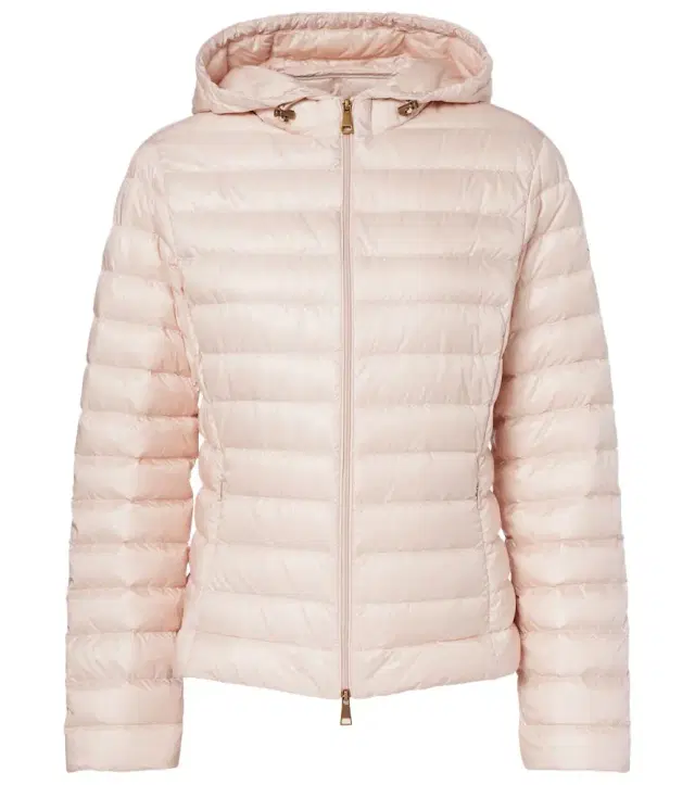 Moncler Igelhood down jacket