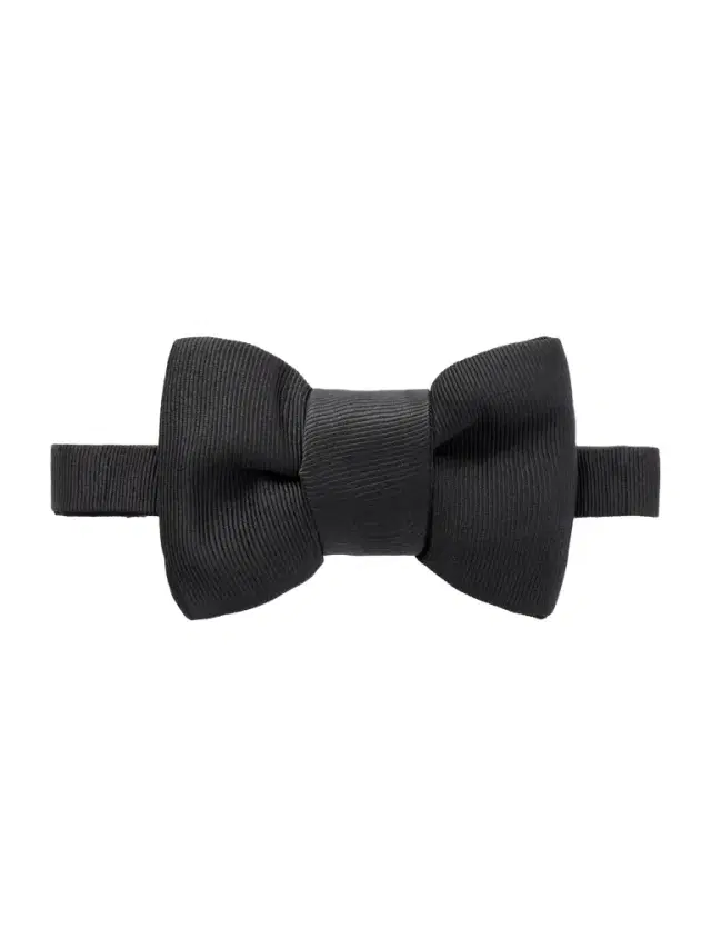 Tom Ford Silk Bowtie - Men