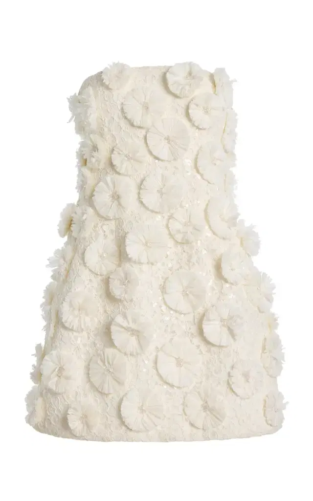 SIMKHAI Holland Floral Raffia Bustier Mini Dress