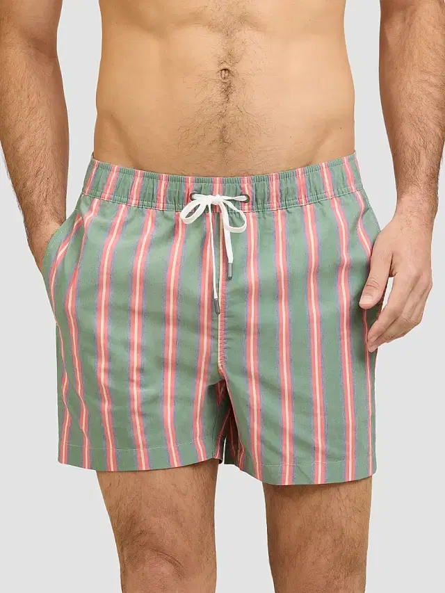 Onia Men's Charles Striped 5'' Swim Trunks - Green Multi