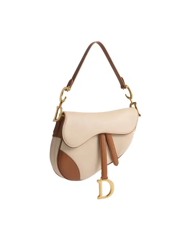Dior Saddle Bag with Strap