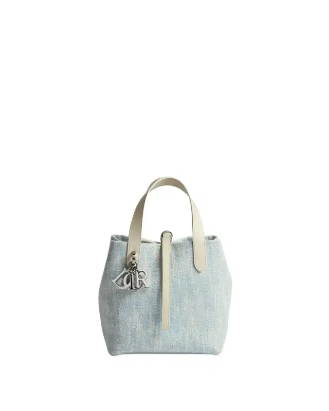 Dior Small Dior Toujours Vertical Tote Bag