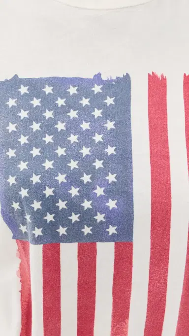 Original Retro Brand UA Vertical Flag Relaxed Tee AWH | Thumbnail 6