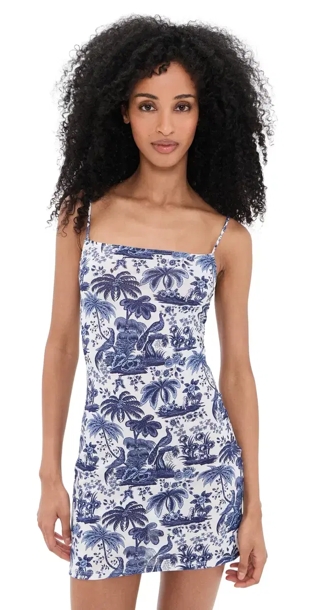 Hastings ini Dress Blue Toile