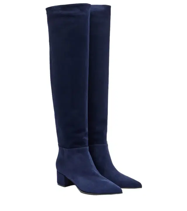 Gianvito Rossi Suede knee-high boots