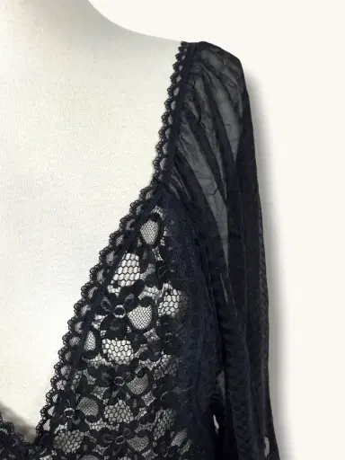 Jen Wonders Studio Sheer Black Dress | Thumbnail 5