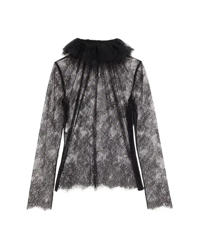 Ruffle Collar Sheer Lace Top