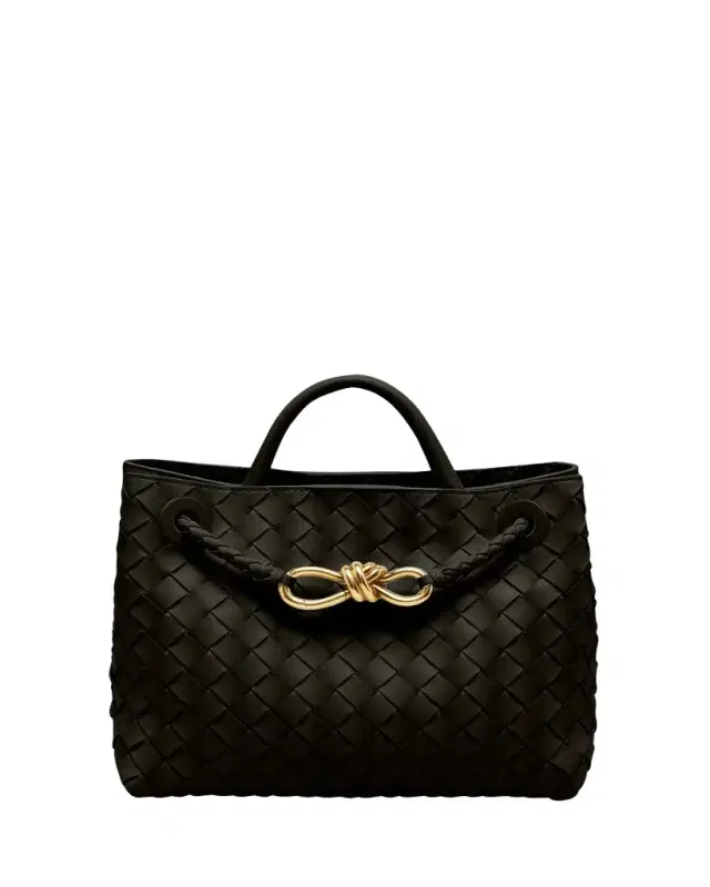 Bottega Veneta Andiamo Small Leather Top-Handle Bag