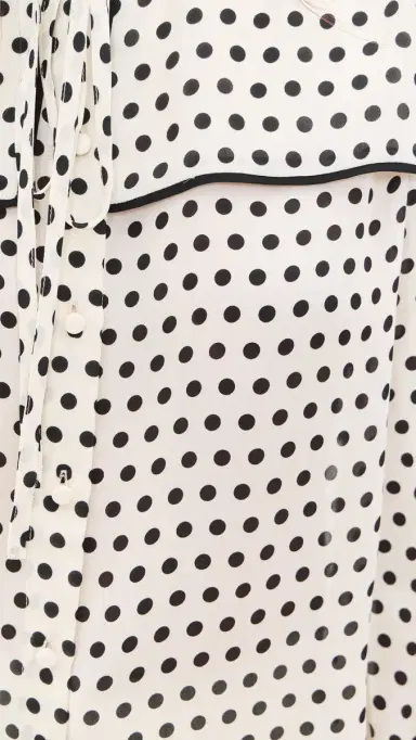 FRAME The Polka-Dot Fleet Silk Blouse Cream ulti | Thumbnail 6