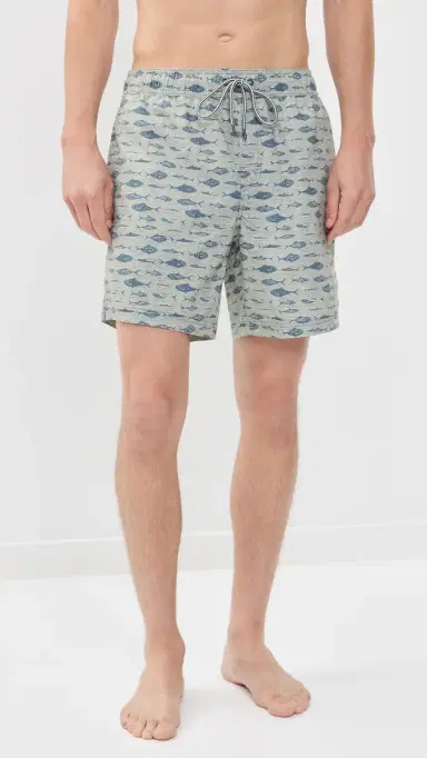 RAILS Dane wim Shorts 7 Vintage Aquarium Etch | Thumbnail 2