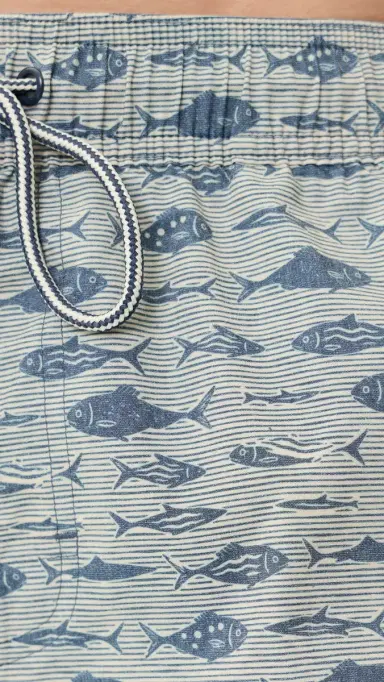RAILS Dane wim Shorts 7 Vintage Aquarium Etch | Thumbnail 6