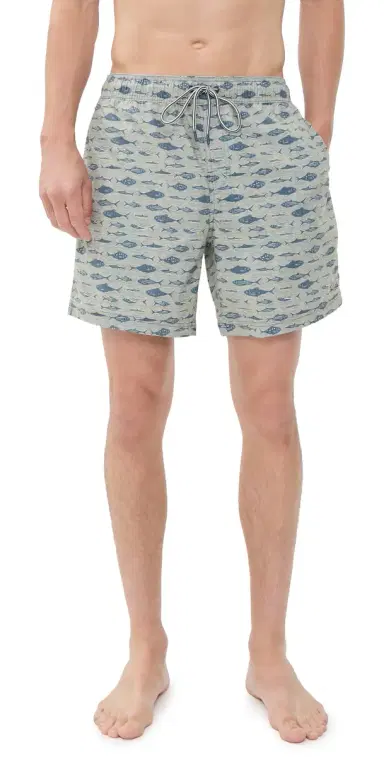 RAILS Dane wim Shorts 7 Vintage Aquarium Etch | Thumbnail 1