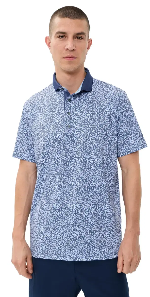 Coral Dreams Polo Falcon