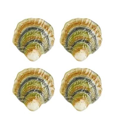 Bordallo Pinheiro Oyster & Scallops set of 4 ceramic charger plates | Thumbnail 1