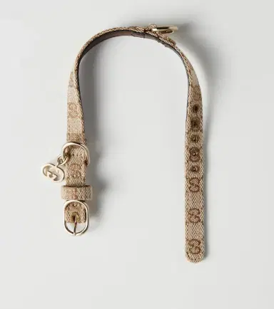 Gucci XS GG canvas dog collar | Thumbnail 2