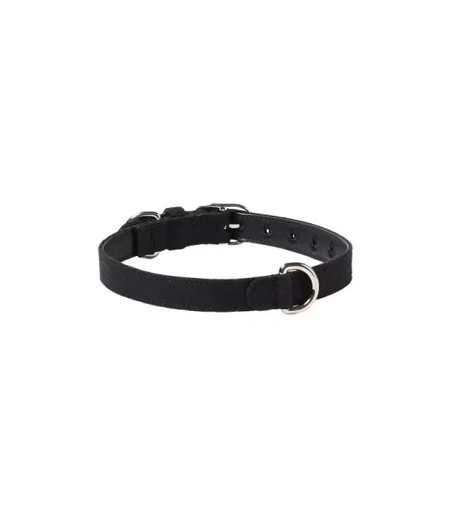 S/M GG canvas dog collar